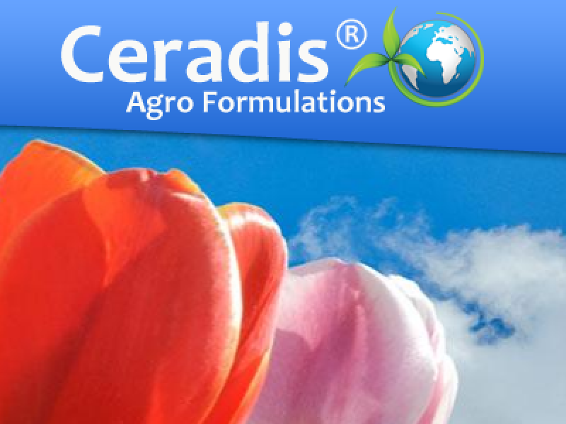 Website Ceradis